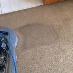 Carpet Cleaning Services